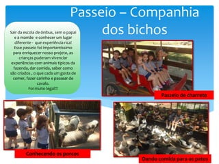 Passeio – Companhia
dos bichosSair da escola de ônibus, sem o papai
e a mamãe e conhecer um lugar
diferente - que experiência rica!
Esse passeio foi importantíssimo
para enriquecer nosso projeto, as
crianças puderam vivenciar
experiências com animais típicos da
fazenda, dar comida, saber como
são criados , o que cada um gosta de
comer, fazer carinho e passear de
cavalo.
Foi muito legal!!!
Passeio de charrete
Conhecendo os porcos
Dando comida para os patos
 