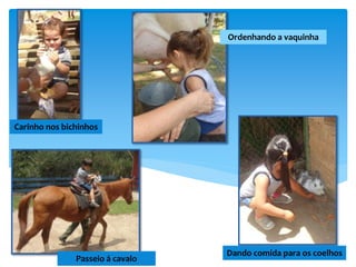 Passeio á cavalo
Carinho nos bichinhos
Ordenhando a vaquinha
Dando comida para os coelhos
 