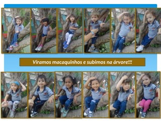 Viramos macaquinhos e subimos na árvore!!!
 