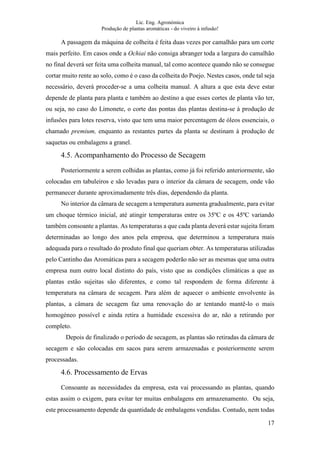 Lic. Eng. Agronómica
Produção de plantas aromáticas - do viveiro à infusão!
17
A passagem da máquina de colheita é feita duas vezes por camalhão para um corte
mais perfeito. Em casos onde a Ochiai não consiga abranger toda a largura do camalhão
no final deverá ser feita uma colheita manual, tal como acontece quando não se consegue
cortar muito rente ao solo, como é o caso da colheita do Poejo. Nestes casos, onde tal seja
necessário, deverá proceder-se a uma colheita manual. A altura a que esta deve estar
depende de planta para planta e também ao destino a que esses cortes de planta vão ter,
ou seja, no caso do Limonete, o corte das pontas das plantas destina-se à produção de
infusões para lotes reserva, visto que tem uma maior percentagem de óleos essenciais, o
chamado premium, enquanto as restantes partes da planta se destinam à produção de
saquetas ou embalagens a granel.
4.5. Acompanhamento do Processo de Secagem
Posteriormente a serem colhidas as plantas, como já foi referido anteriormente, são
colocadas em tabuleiros e são levadas para o interior da câmara de secagem, onde vão
permanecer durante aproximadamente três dias, dependendo da planta.
No interior da câmara de secagem a temperatura aumenta gradualmente, para evitar
um choque térmico inicial, até atingir temperaturas entre os 35ºC e os 45ºC variando
também consoante a plantas. As temperaturas a que cada planta deverá estar sujeita foram
determinadas ao longo dos anos pela empresa, que determinou a temperatura mais
adequada para o resultado do produto final que queriam obter. As temperaturas utilizadas
pelo Cantinho das Aromáticas para a secagem poderão não ser as mesmas que uma outra
empresa num outro local distinto do país, visto que as condições climáticas a que as
plantas estão sujeitas são diferentes, e como tal respondem de forma diferente à
temperatura na câmara de secagem. Para além de aquecer o ambiente envolvente às
plantas, a câmara de secagem faz uma renovação do ar tentando mantê-lo o mais
homogéneo possível e ainda retira a humidade excessiva do ar, não a retirando por
completo.
Depois de finalizado o período de secagem, as plantas são retiradas da câmara de
secagem e são colocadas em sacos para serem armazenadas e posteriormente serem
processadas.
4.6. Processamento de Ervas
Consoante as necessidades da empresa, esta vai processando as plantas, quando
estas assim o exigem, para evitar ter muitas embalagens em armazenamento. Ou seja,
este processamento depende da quantidade de embalagens vendidas. Contudo, nem todas
 