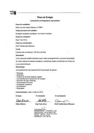 Relatório de Estágio 