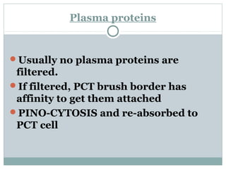 Plasma proteins
Usually no plasma proteins are
filtered.
If filtered, PCT brush border has
affinity to get them attached
PINO-CYTOSIS and re-absorbed to
PCT cell
 