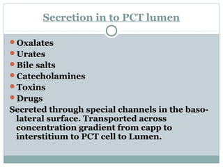 Secretion in to PCT lumen
Oxalates
Urates
Bile salts
Catecholamines
Toxins
Drugs
Secreted through special channels in the baso-
lateral surface. Transported across
concentration gradient from capp to
interstitium to PCT cell to Lumen.
 