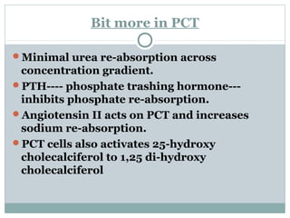 Bit more in PCT
Minimal urea re-absorption across
concentration gradient.
PTH---- phosphate trashing hormone---
inhibits phosphate re-absorption.
Angiotensin II acts on PCT and increases
sodium re-absorption.
PCT cells also activates 25-hydroxy
cholecalciferol to 1,25 di-hydroxy
cholecalciferol
 