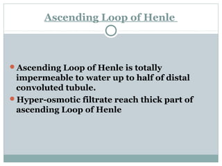 Ascending Loop of Henle
Ascending Loop of Henle is totally
impermeable to water up to half of distal
convoluted tubule.
Hyper-osmotic filtrate reach thick part of
ascending Loop of Henle
 