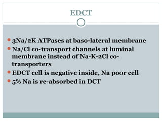 EDCT
3Na/2K ATPases at baso-lateral membrane
Na/Cl co-transport channels at luminal
membrane instead of Na-K-2Cl co-
transporters
EDCT cell is negative inside, Na poor cell
5% Na is re-absorbed in DCT
 