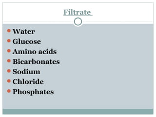 Filtrate
Water
Glucose
Amino acids
Bicarbonates
Sodium
Chloride
Phosphates
 