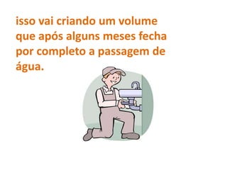 isso vai criando um volume
que após alguns meses fecha
por completo a passagem de
água.
 