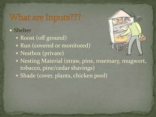 ShelterRoost (off ground)Run (covered or monitored)Nestbox (private)Nesting Material (straw, pine, rosemary, mugwort, tobacco, pine/cedar shavings)Shade (cover, plants, chicken pool)What are Inputs???
