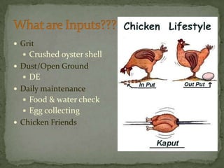 Grit Crushed oyster shellDust/Open GroundDE	Daily maintenanceFood & water checkEgg collectingChicken Friends	What are Inputs???