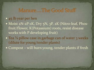 45 lb year per henMoist 2N-2P-1K, Dry 5N, 3P, 2K (Nitro-leaf, Phos-fruit/flower, K(Potassium) roots, resist disease works with P developing fruit)Tea ¾ pillow case in garbage can of water 3 weeks (dilute for young/tender plants)Compost – will burn young, tender plants if freshManure….The Good Stuff