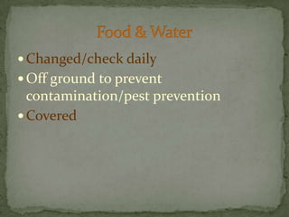 Changed/check dailyOff ground to prevent contamination/pest preventionCoveredFood & Water