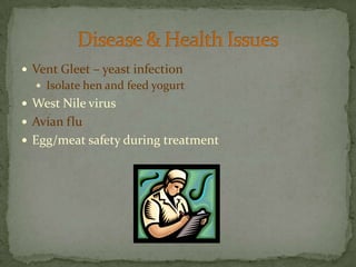 Vent Gleet – yeast infectionIsolate hen and feed yogurtWest Nile virusAvian fluEgg/meat safety during treatmentDisease & Health Issues