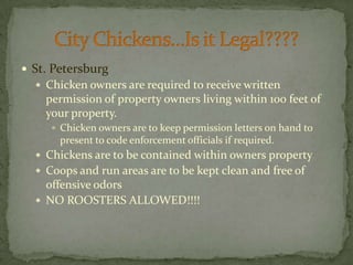 St. PetersburgChicken owners are required to receive written permission of property owners living within 100 feet of your property.Chicken owners are to keep permission letters on hand to present to code enforcement officials if required.Chickens are to be contained within owners propertyCoops and run areas are to be kept clean and free of offensive odorsNO ROOSTERS ALLOWED!!!!City Chickens…Is it Legal????