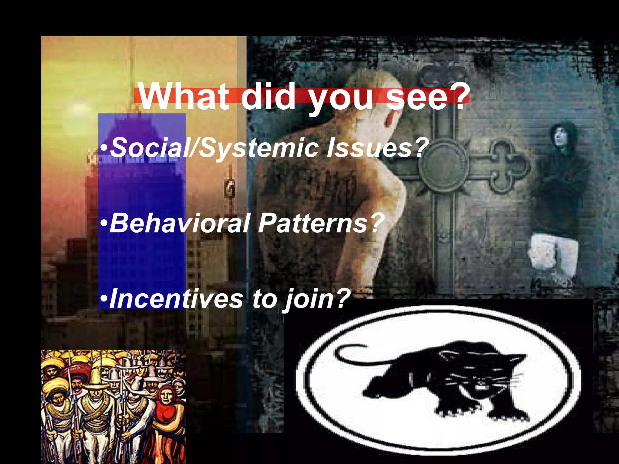 What did you see? Social/Systemic Issues? Behavioral Patterns? Incentives to join?  