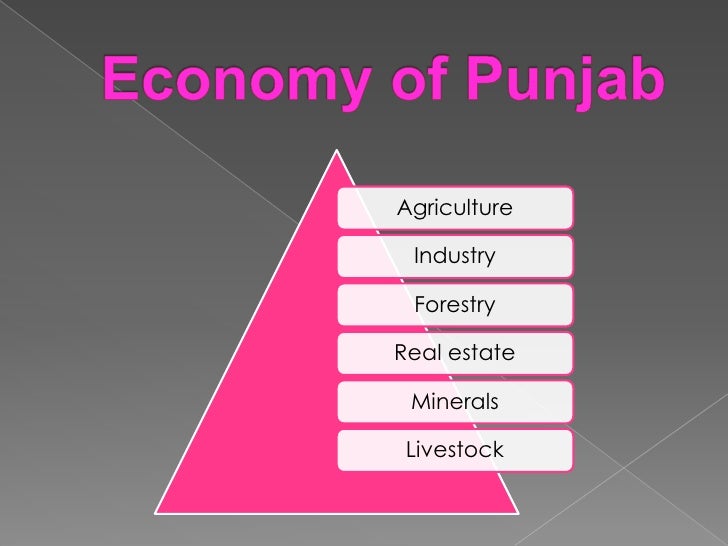 Re imagining economy of punjab