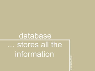 database… stores all the informationinformation?