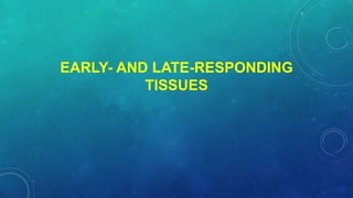 EARLY- AND LATE-RESPONDING
TISSUES
 