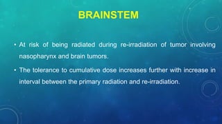BRAINSTEM
• At risk of being radiated during re-irradiation of tumor involving
nasopharynx and brain tumors.
• The tolerance to cumulative dose increases further with increase in
interval between the primary radiation and re-irradiation.
 