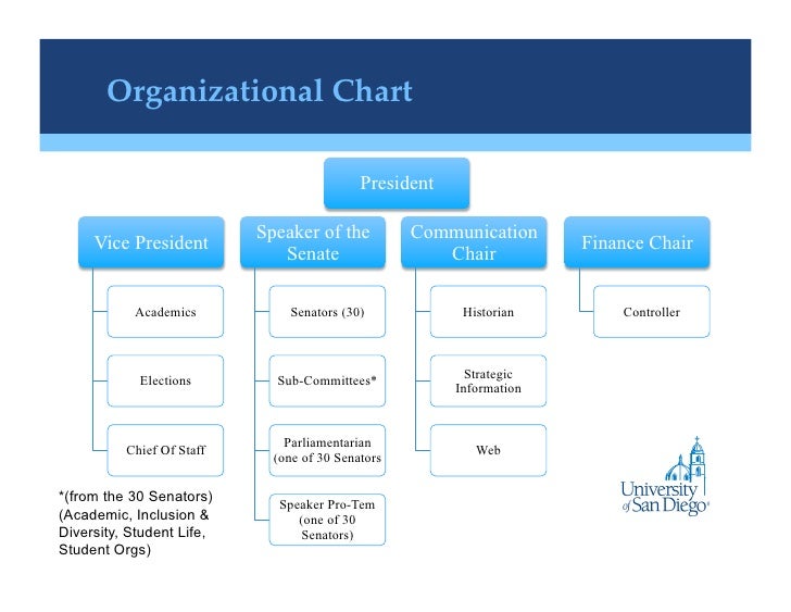 Ncaa Organizational Chart