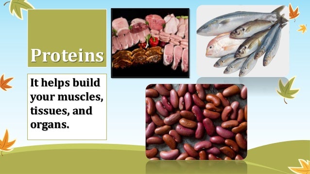 define macro nutrients define macro nutrients