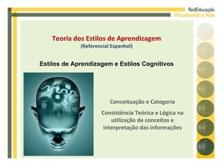 Conceituação e Categoria Consistência Teórica e Lógica na utilização de conceitos e interpretação das informações Teoria dos Estilos de Aprendizagem (Referencial Espanhol) Estilos de Aprendizagem e Estilos Cognitivos 