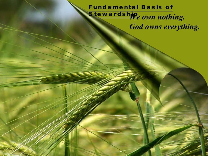 Numerology no 11 personality image 4
