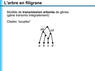 L'arbre en filigrane

 Modèle de transmission arborée de gènes
 (gène transmis intégralement)

 Clades “souples”
                      abc
                      ab    cd
                         bc



                    a b c d
 