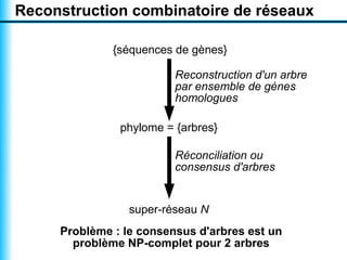 Reconstruction combinatoire de réseaux

              {séquences de gènes}

                         Reconstruction d'un arbre
                         par ensemble de gènes
                         homologues

               phylome = {arbres}

                         Réconciliation ou
                         consensus d'arbres


                 super-réseau N
     Problème : le consensus d'arbres est un
       problème NP-complet pour 2 arbres
 