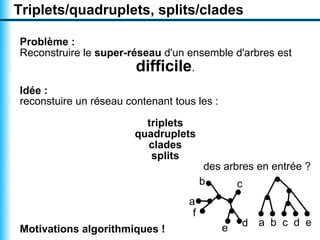 Triplets/quadruplets, splits/clades

Problème :
Reconstruire le super-réseau d'un ensemble d'arbres est
                        difficile.
Idée :
reconstuire un réseau contenant tous les :

                          triplets
                        quadruplets
                          clades
                           splits
                                         des arbres en entrée ?
                                        b       c
                                   a
                                    f
                                                 d   a b c d e
Motivations algorithmiques !                 e
 