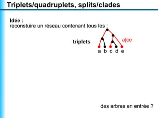 Triplets/quadruplets, splits/clades

Idée :
reconstuire un réseau contenant tous les :


                           triplets           a|ce

                                      a b c d e




                                      des arbres en entrée ?
 