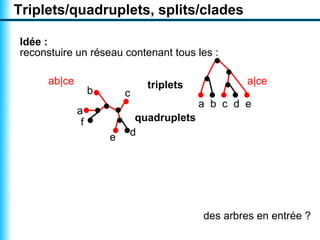 Triplets/quadruplets, splits/clades

Idée :
reconstuire un réseau contenant tous les :

      ab|ce                    triplets           a|ce
                   b       c
                                          a b c d e
              a
               f            quadruplets
                       e   d




                                          des arbres en entrée ?
 