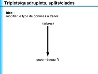 Triplets/quadruplets, splits/clades

Idée :
modifier le type de données à traiter

                         {arbres}




                     super-réseau N
 