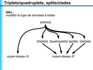 Triplets/quadruplets, splits/clades

Idée :
modifier le type de données à traiter

                         {arbres}




                       {triplets} {quadruplets} {splits} {clades}



 super-réseau N                     super-réseau N'
 