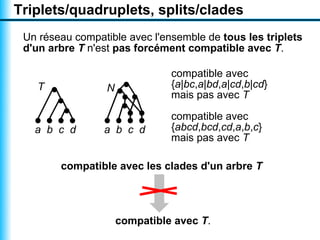 Triplets/quadruplets, splits/clades
 Un réseau compatible avec l'ensemble de tous les triplets
 d'un arbre T n'est pas forcément compatible avec T.

                                compatible avec
   T              N             {a|bc,a|bd,a|cd,b|cd}
                                mais pas avec T

                                compatible avec
   a b c d       a b c d        {abcd,bcd,cd,a,b,c}
                                mais pas avec T

        compatible avec les clades d'un arbre T




                      compatible avec T.
 