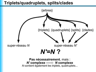 Triplets/quadruplets, splits/clades
                           {arbres}




                        {triplets} {quadruplets} {splits} {clades}



 super-réseau N                       super-réseau N'

                          N'=N ?
                Pas nécessairement, mais :
              N' complexe      N complexe
          N contient également les triplets, quadruplets...
 