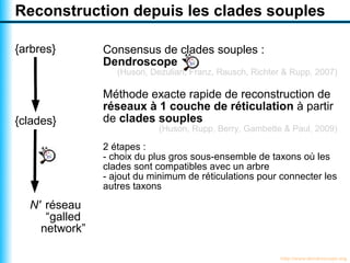 Reconstruction depuis les clades souples

{arbres}       Consensus de clades souples :
               Dendroscope
                  (Huson, Dezulian, Franz, Rausch, Richter & Rupp, 2007)

               Méthode exacte rapide de reconstruction de
               réseaux à 1 couche de réticulation à partir
{clades}       de clades souples
                            (Huson, Rupp, Berry, Gambette & Paul, 2009)

               2 étapes :
               - choix du plus gros sous-ensemble de taxons où les
               clades sont compatibles avec un arbre
               - ajout du minimum de réticulations pour connecter les
               autres taxons

  N' réseau
     “galled
    network”

                                                          http://www.dendroscope.org
 