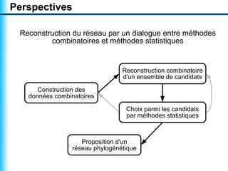 Perspectives

 Reconstruction du réseau par un dialogue entre méthodes
         combinatoires et méthodes statistiques


                                 Reconstruction combinatoire
                                 d'un ensemble de candidats

      Construction des
   données combinatoires

                                  Choix parmi les candidats
                                  par méthodes statistiques



                    Proposition d'un
                 réseau phylogénétique
 