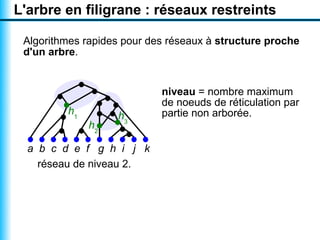 L'arbre en filigrane : réseaux restreints

 Algorithmes rapides pour des réseaux à structure proche
 d'un arbre.


                            niveau = nombre maximum
                            de noeuds de réticulation par
         h1        h3       partie non arborée.
              h2

  a b c d e f g h i j k
    réseau de niveau 2.
 