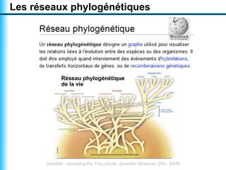 Les réseaux phylogénétiques




              Réseau phylogénétique
              de la vie




       Doolittle : Uprooting the Tree of Life, Scientific American (Fév. 2000)
 