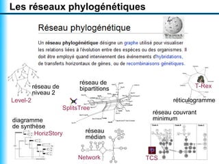 Les réseaux phylogénétiques




                            réseau de
          réseau de         bipartitions                  T-Rex
          niveau 2
Level-2                                            réticulogramme
                      SplitsTree
                                            réseau couvrant
diagramme                                   minimum
de synthèse
        HorizStory            réseau
                              médian


                           Network         TCS
 
