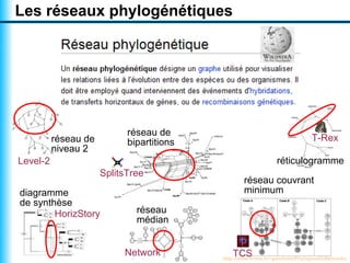 Les réseaux phylogénétiques




                            réseau de
          réseau de         bipartitions                                      T-Rex
          niveau 2
Level-2                                                         réticulogramme
                      SplitsTree
                                                   réseau couvrant
diagramme                                          minimum
de synthèse
        HorizStory            réseau
                              médian


                           Network            TCS
                                           http://www.lirmm.fr/~gambette/PhylogeneticNetworks
 