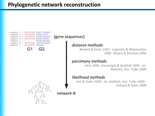 Phylogenetic network reconstruction



espèce   1   :   AATTGCAG TAGCCCAAAAT
espèce   2   :   ACCTGCAG TAGACCAAT
espèce
espèce
         3
         4
             :
             :
                 GCTTGCCG
                 ATTTGCAG
                          TAGACAAGAAT
                          AAGACCAAAT
                                        {gene sequences}
espèce   5   :            TAGACAAGAAT
espèce   6   :   ACTTGCAG TAGCACAAAAT
espèce   7   :   ACCTGGTG TAAAAT                 distance methods
                  G1        G2                         Bandelt & Dress 1992 - Legendre & Makarenkov
                                                                        2000 - Bryant & Moulton 2002

                                                 parsimony methods
                                                           Hein 1990 - Kececioglu & Gusfield 1994 - Jin,
                                                                             Nakhleh, Snir, Tuller 2009

                                                 likelihood methods
                                                     Snir & Tuller 2009 - Jin, Nakhleh, Snir, Tuller 2009 -
                                                                                   Velasco & Sober 2009

                                         network N
 