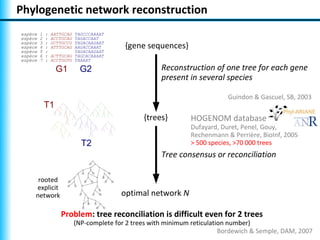 Phylogenetic network reconstruction
espèce   1   :   AATTGCAG TAGCCCAAAAT
espèce   2   :   ACCTGCAG TAGACCAAT
espèce
espèce
         3
         4
             :
             :
                 GCTTGCCG
                 ATTTGCAG
                          TAGACAAGAAT
                          AAGACCAAAT        {gene sequences}
espèce   5   :            TAGACAAGAAT
espèce   6   :   ACTTGCAG TAGCACAAAAT
espèce   7   :   ACCTGGTG TAAAAT

                  G1         G2                         Reconstruction of one tree for each gene
                                                        present in several species

                                                                             Guindon & Gascuel, SB, 2003
             T1
                                                  {trees}        HOGENOM database
                                                                 Dufayard, Duret, Penel, Gouy,
                                                                 Rechenmann & Perrière, BioInf, 2005
                              T2                                 > 500 species, >70 000 trees
                                                        Tree consensus or reconciliation

      rooted
     explicit
     network                               optimal network N

                    Problem: tree reconciliation is difficult even for 2 trees
                            (NP-complete for 2 trees with minimum reticulation number)
                                                                            Bordewich & Semple, DAM, 2007
 