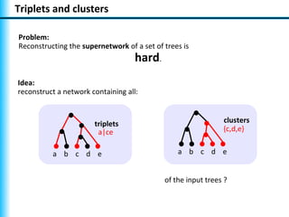 Triplets and clusters

Problem:
Reconstructing the supernetwork of a set of trees is
                                    hard.
Idea:
reconstruct a network containing all:



                       triplets                               clusters
                        a|ce                                  {c,d,e}


          a b c d e                             a b c d e


                                            of the input trees ?
 