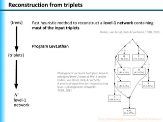 Reconstruction from triplets

 {trees}     Fast heuristic method to reconstruct a level-1 network containing
             most of the input triplets
                                                           Huber, van Iersel, Kelk & Suchecki, TCBB, 2011



             Program Lev1athan
{triplets}


                          Phylogenetic network built from triplets
                          extracted from 2 trees of HIV-1 strains
                          Huber, van Iersel, Kelk & Suchecki
                          A practical algorithm for reconstructing
                          level-1 phylogenetic networks
                          TCBB, 2011
   N'
   level-1
   network


                                                          http://homepages.cwi.nl/~kelk/lev1athan/
 
