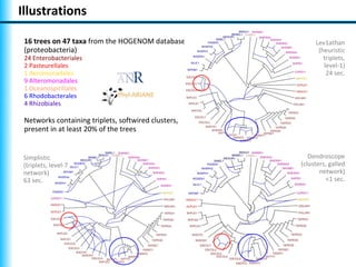 Illustrations

 16 trees on 47 taxa from the HOGENOM database            Lev1athan
 (proteobacteria)                                          (heuristic
 24 Enterobacteriales                                        triplets,
 2 Pasteurellales                                            level-1)
 1 Aeromonadales                                              24 sec.
 9 Alteromonadales
 1 Oceanospirillales
 6 Rhodobacterales
 4 Rhizobiales

 Networks containing triplets, softwired clusters,
 present in at least 20% of the trees


 Simplistic                                             Dendroscope
 (triplets, level-7                                  (clusters, galled
 network)                                                   network)
 63 sec.                                                      <1 sec.
 