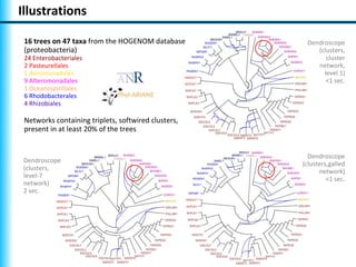 Illustrations

 16 trees on 47 taxa from the HOGENOM database        Dendroscope
 (proteobacteria)                                        (clusters,
 24 Enterobacteriales                                       cluster
 2 Pasteurellales                                        network,
 1 Aeromonadales                                           level 1)
 9 Alteromonadales                                          <1 sec.
 1 Oceanospirillales
 6 Rhodobacterales
 4 Rhizobiales

 Networks containing triplets, softwired clusters,
 present in at least 20% of the trees


                                                       Dendroscope
 Dendroscope                                         (clusters,galled
 (clusters,                                                network)
 level-7                                                      <1 sec.
 network)
 2 sec.
 