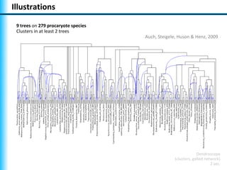 Illustrations

 9 trees on 279 procaryote species
 Clusters in at least 2 trees
                                     Auch, Steigele, Huson & Henz, 2009




                                                               Dendroscope
                                                  (clusters, galled network)
                                                                       2 sec.
 