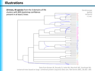Illustrations
 23 trees, 45 species from the 3 domains of life                                                 Dendroscope
 clusters with 80% bootstrap confidence                                                               (galled
 present in at least 2 trees                                                                        network)
                                                                                                      <1 sec.




                                          Data from Brown JR, Douady CJ, Italia MJ, Marshall WE, Stanhope MJ:
             Universal trees based on large combined protein sequence data sets. Nat Genet 2001, 28:281--285
 